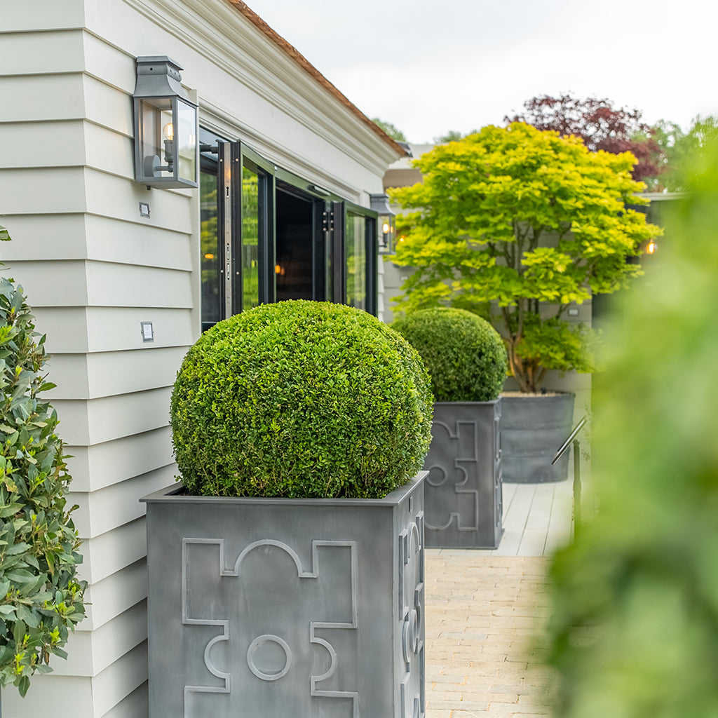 french house plants French Planters