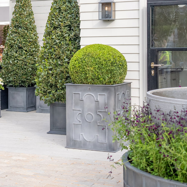 French Planters